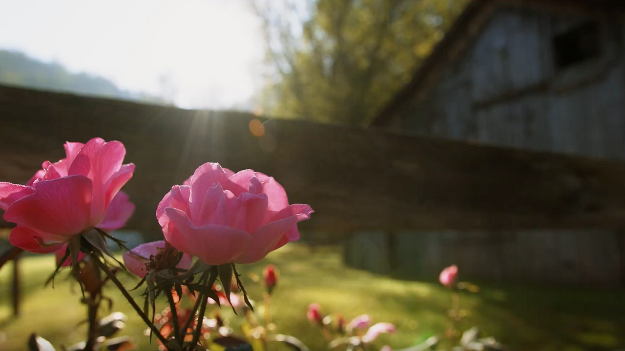 A Visit to West Virginia's Bed & Breakfasts